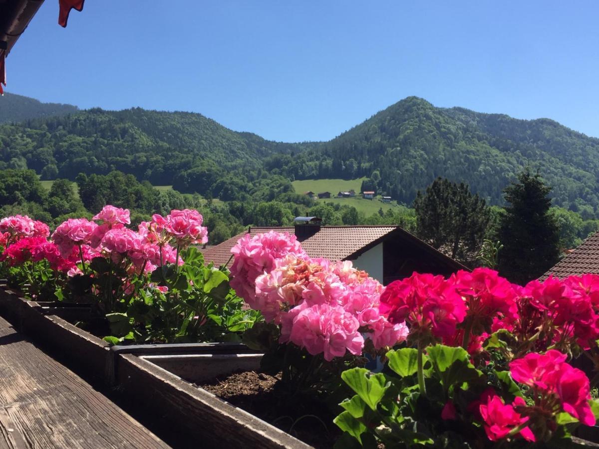 Ferienwohnungen Gaestehaus Sonnenkreis Ruhpolding Exterior photo